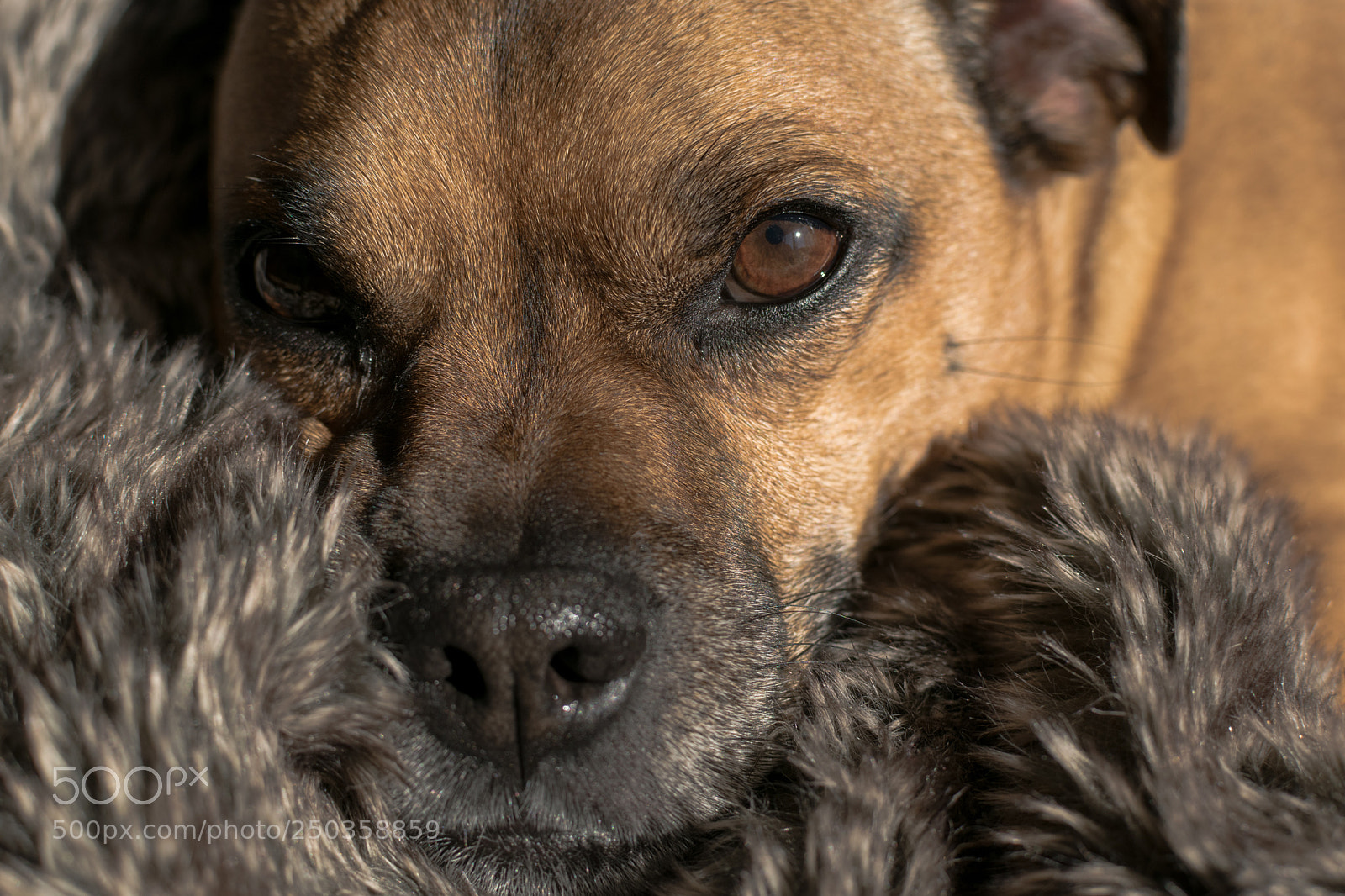 Nikon D5300 sample photo. Untitled photography
