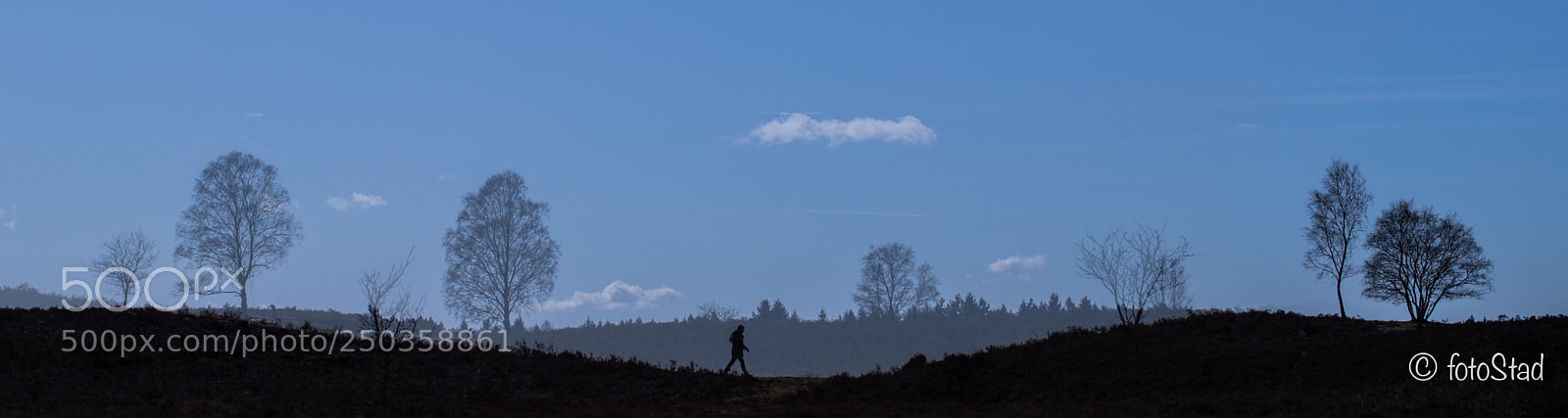 Canon EOS 6D Mark II sample photo. Walking photography