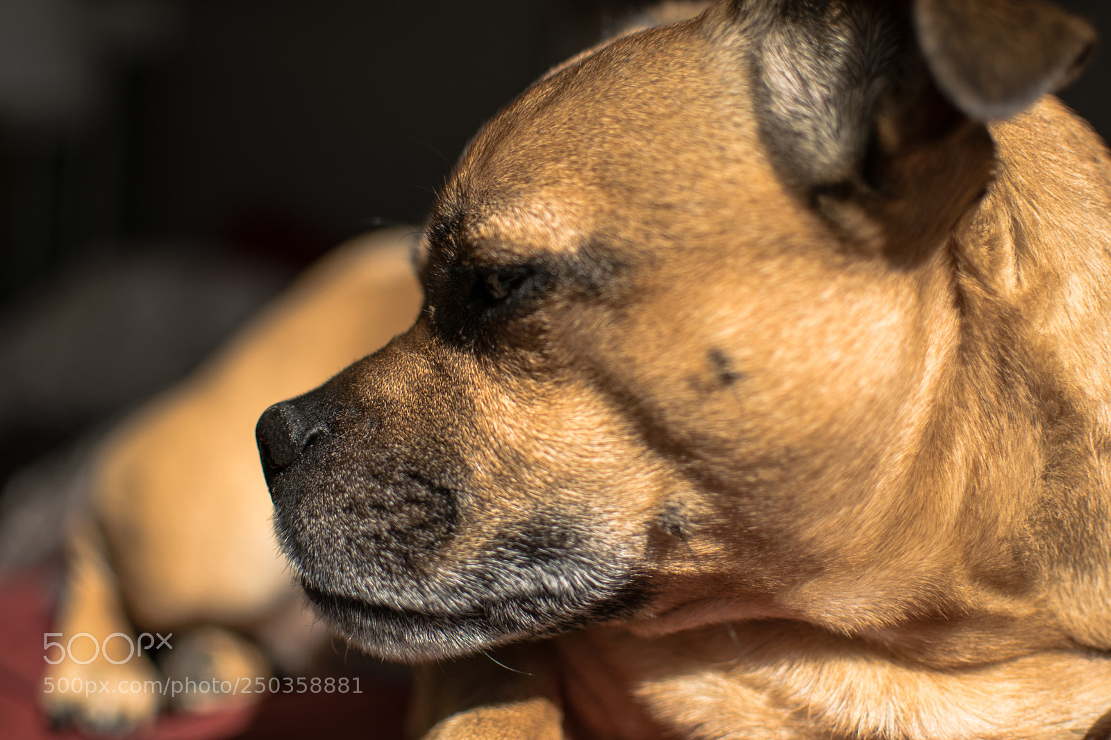 Nikon D5300 sample photo. Untitled photography