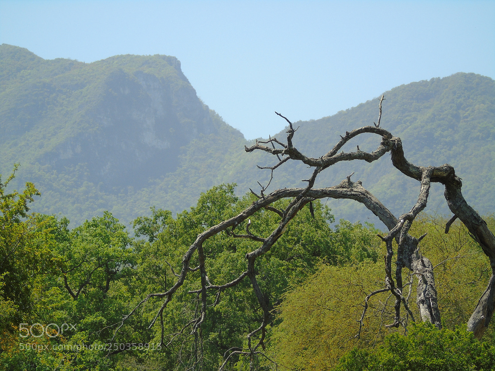 Sony Cyber-shot DSC-H400 sample photo. Bioparque estrella photography