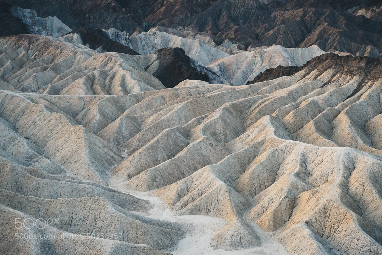 Sony a7 II sample photo. Surreal landscape in death photography