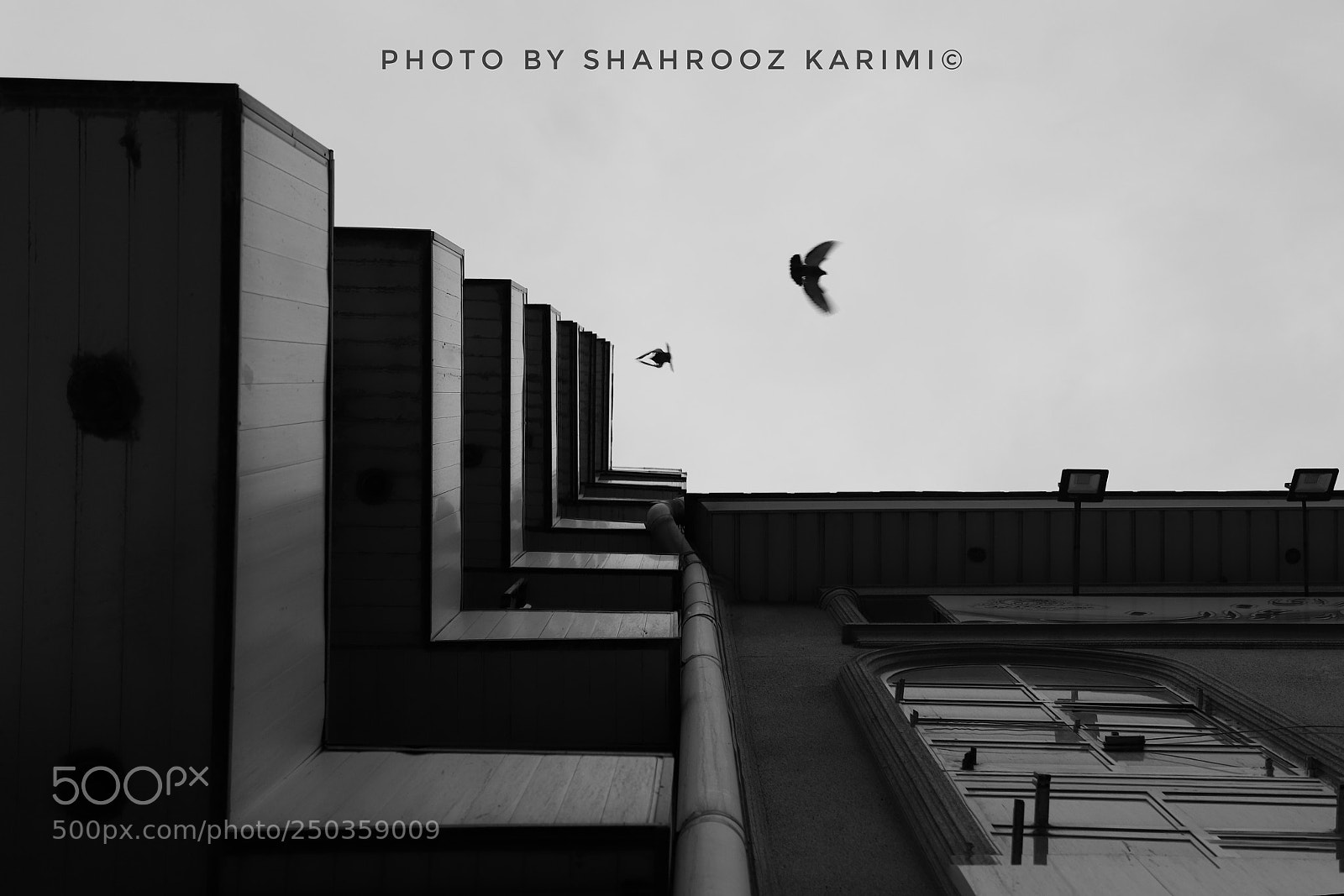 Canon EOS 6D Mark II sample photo. Running into... photography