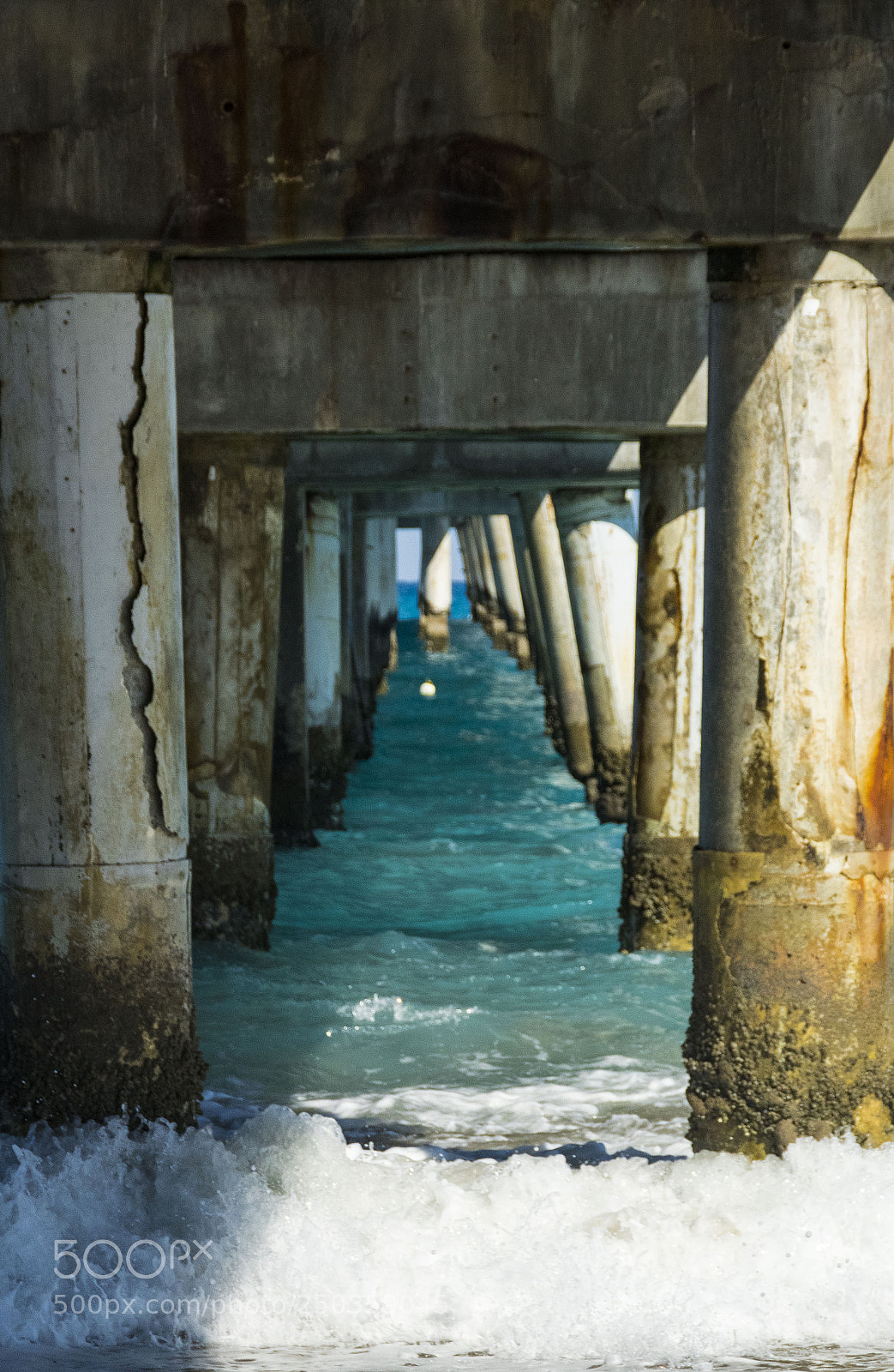 Canon EOS 77D (EOS 9000D / EOS 770D) sample photo. Img photography