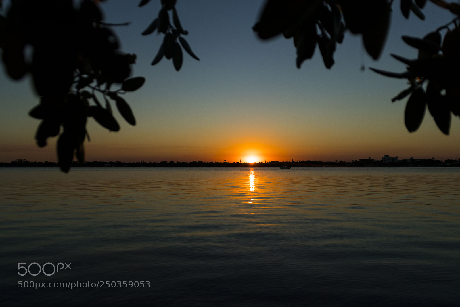 Canon EOS 77D (EOS 9000D / EOS 770D) sample photo. Img photography