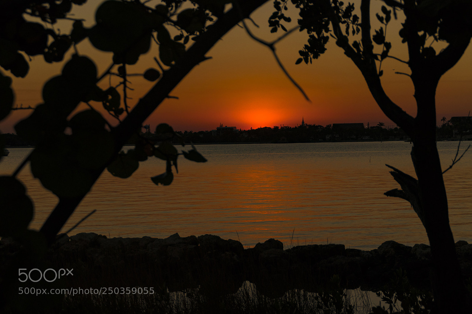 Canon EOS 77D (EOS 9000D / EOS 770D) sample photo. Img photography