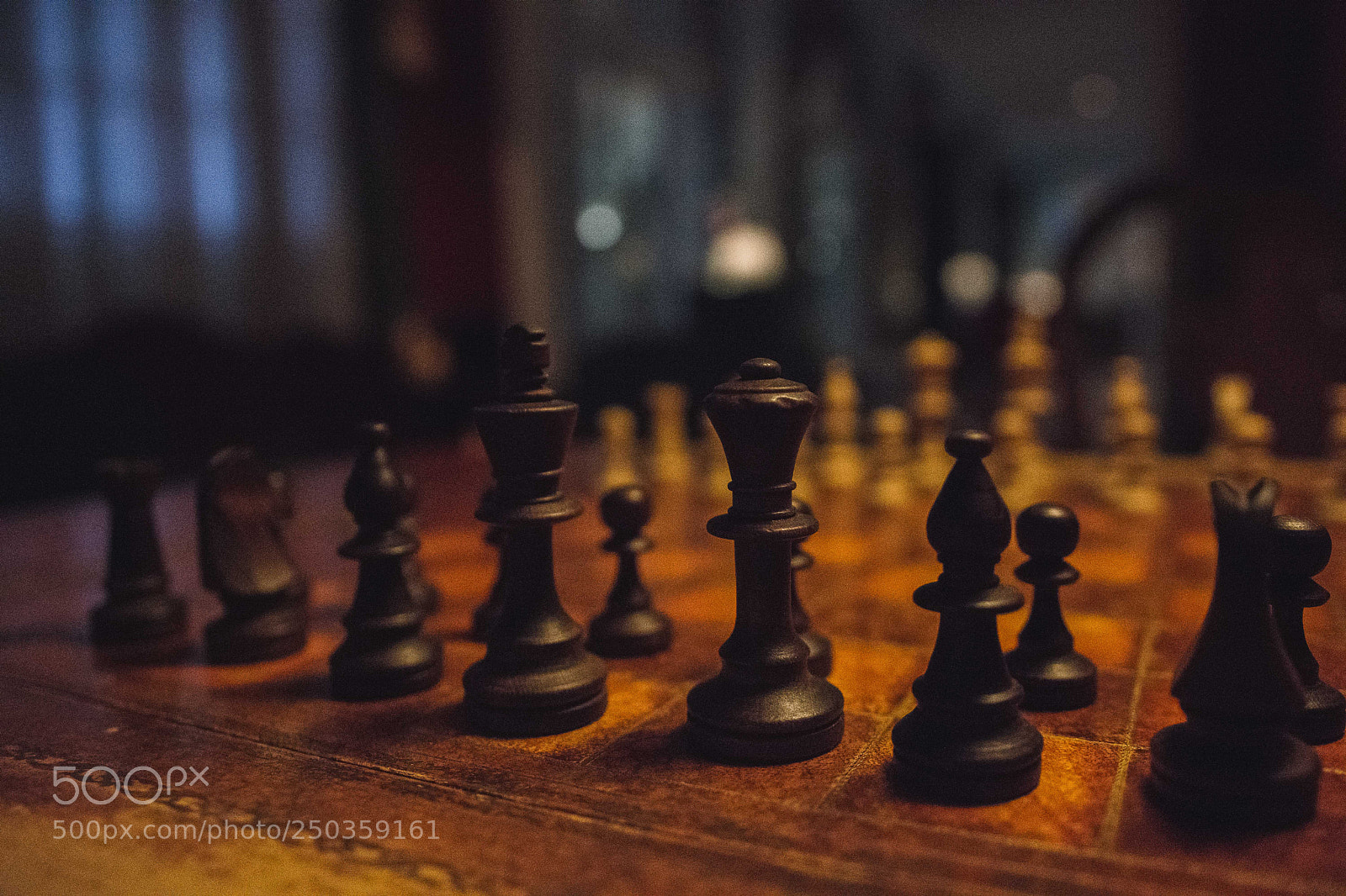 Nikon D7200 sample photo. Think first, then move photography