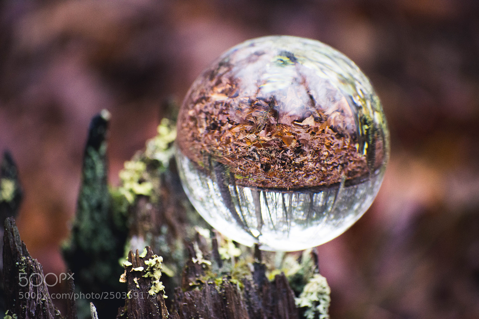 Nikon D7200 sample photo. The upsidedown photography