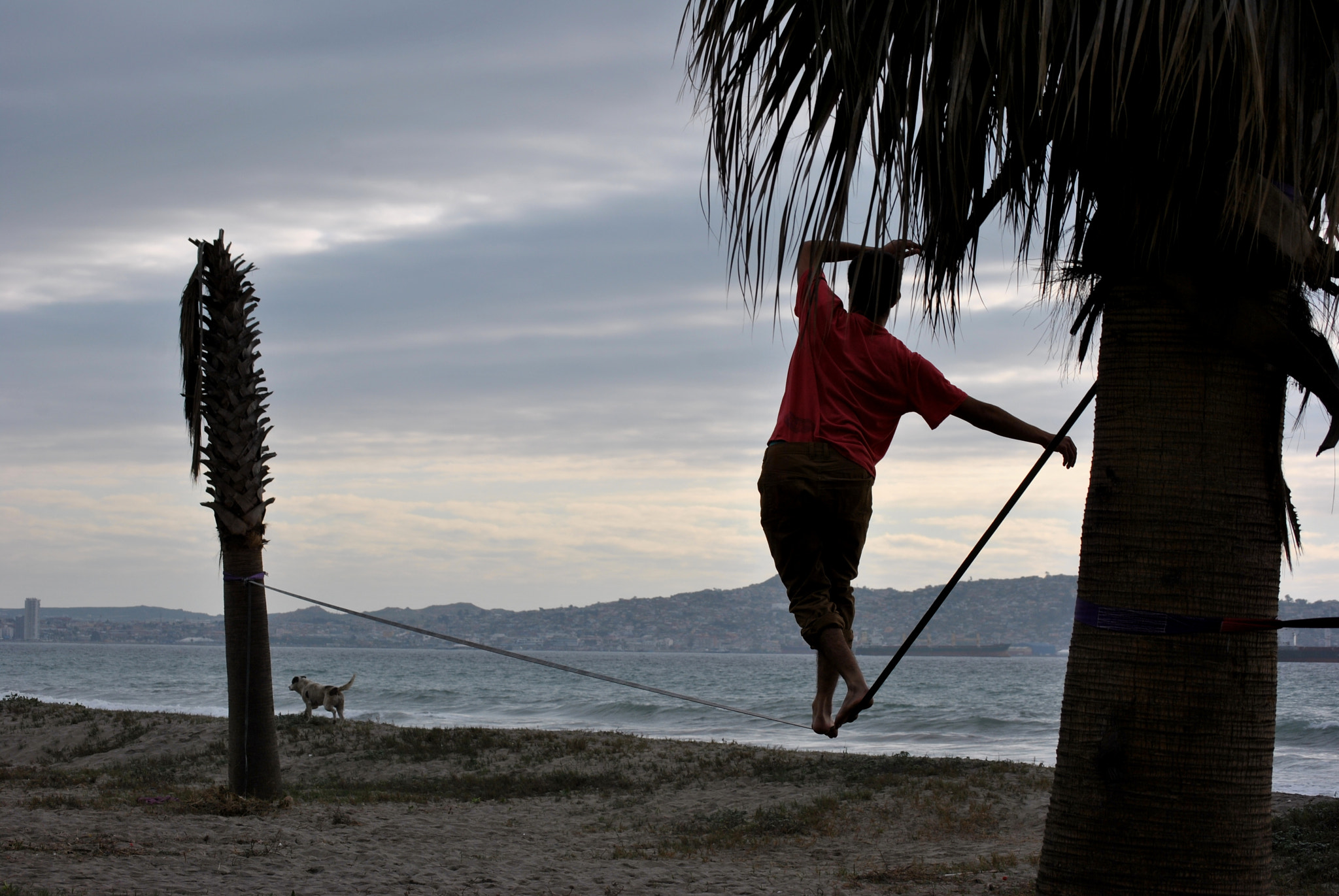 Nikon D3000 sample photo. Slackliling photography