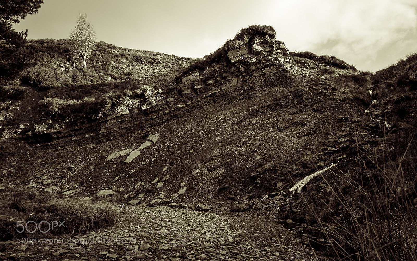 Sony Alpha NEX-5T sample photo. A dramatic slip photography