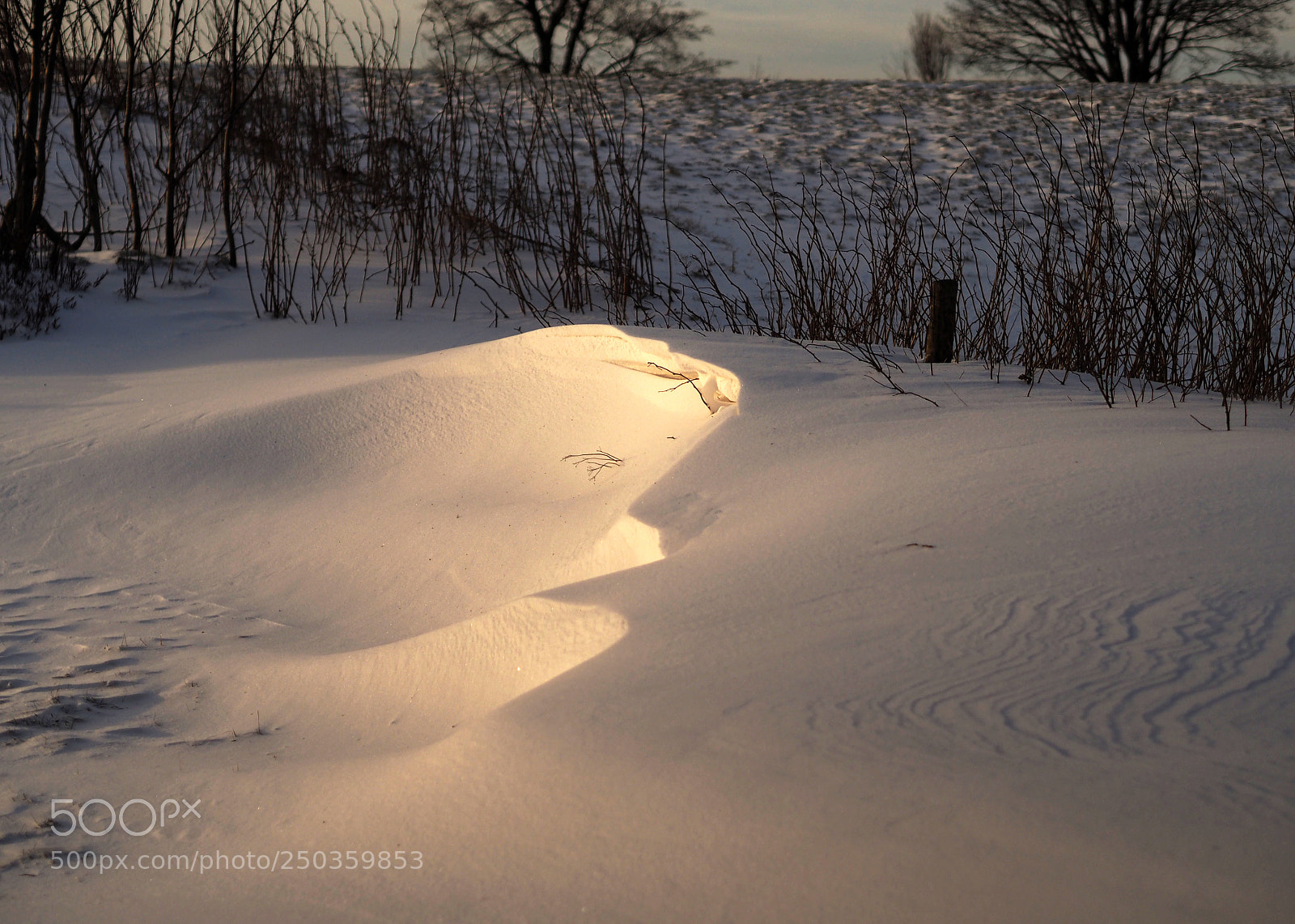 Olympus OM-D E-M10 sample photo. Sidelit sundrift photography