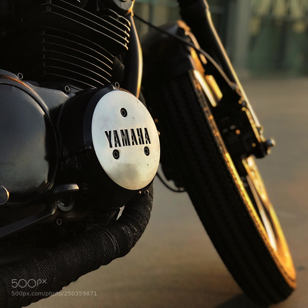 Apple iPhone 7 Plus sample photo. Yamaha photography