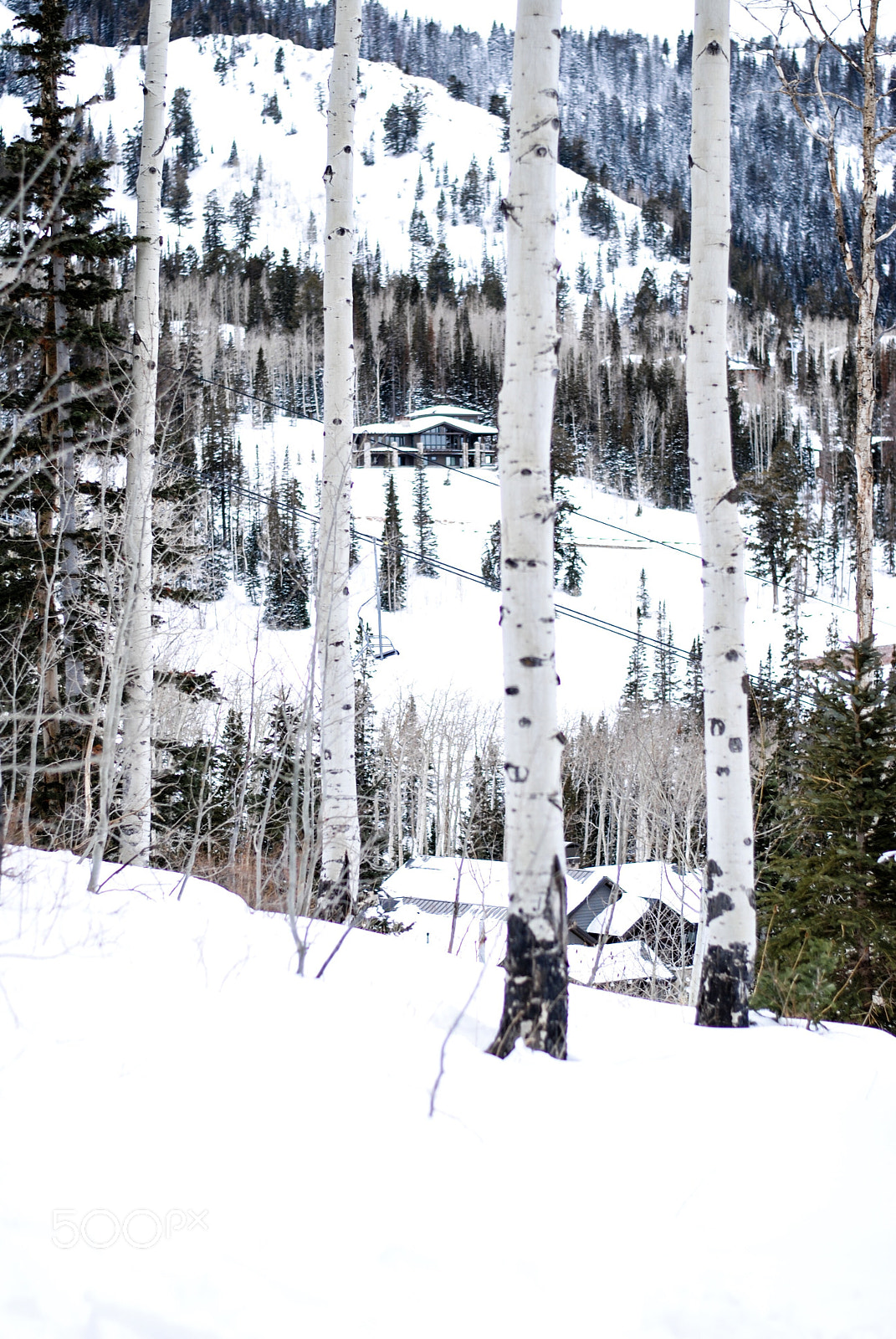 Nikon D3000 sample photo. Utah mountains photography