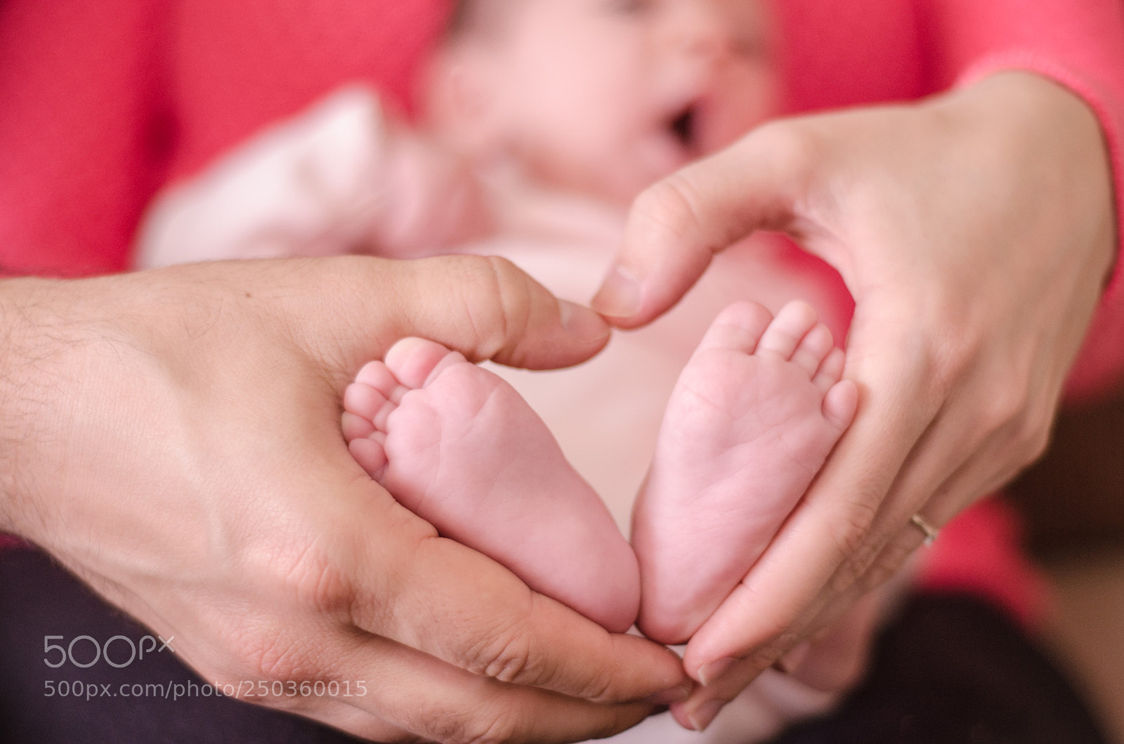 Nikon D7000 sample photo. Untitled photography