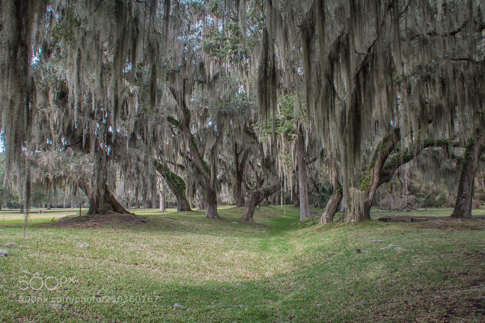 Nikon D7100 sample photo. Fort frederica photography