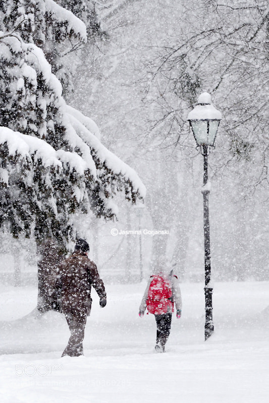 Olympus OM-D E-M1 Mark II sample photo. Snow way to school photography