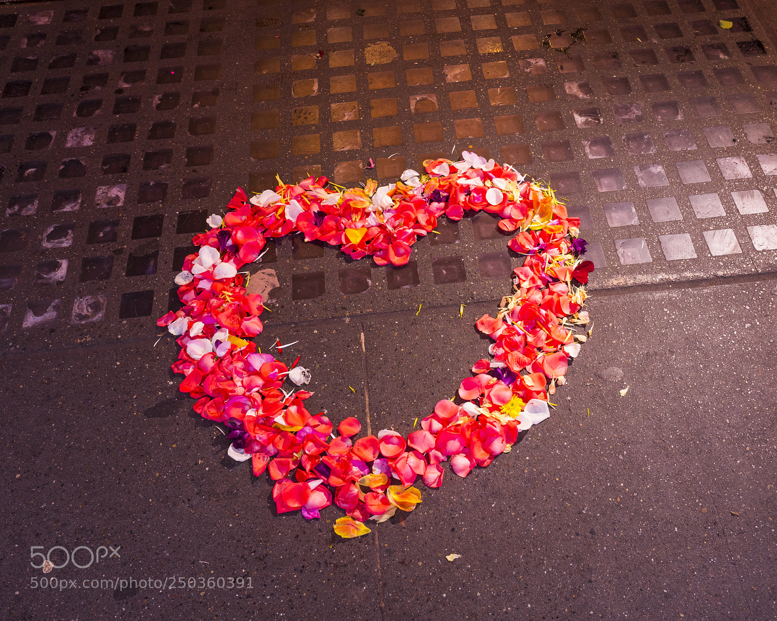 Leica Q (Typ 116) sample photo. Heart of flowers photography