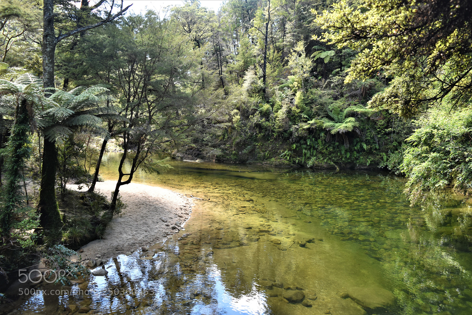 Nikon D5500 sample photo. Abel tasman national park photography