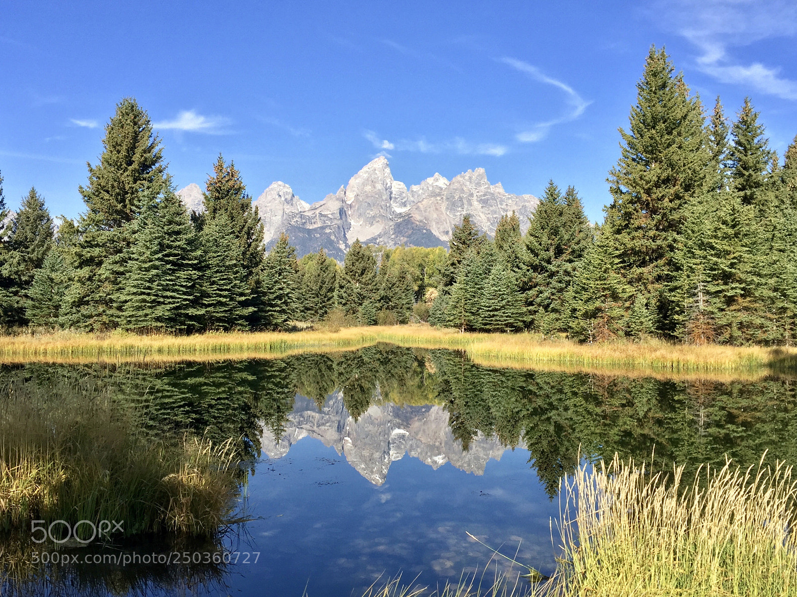 Apple iPhone 6 sample photo. Peaceful reflection photography