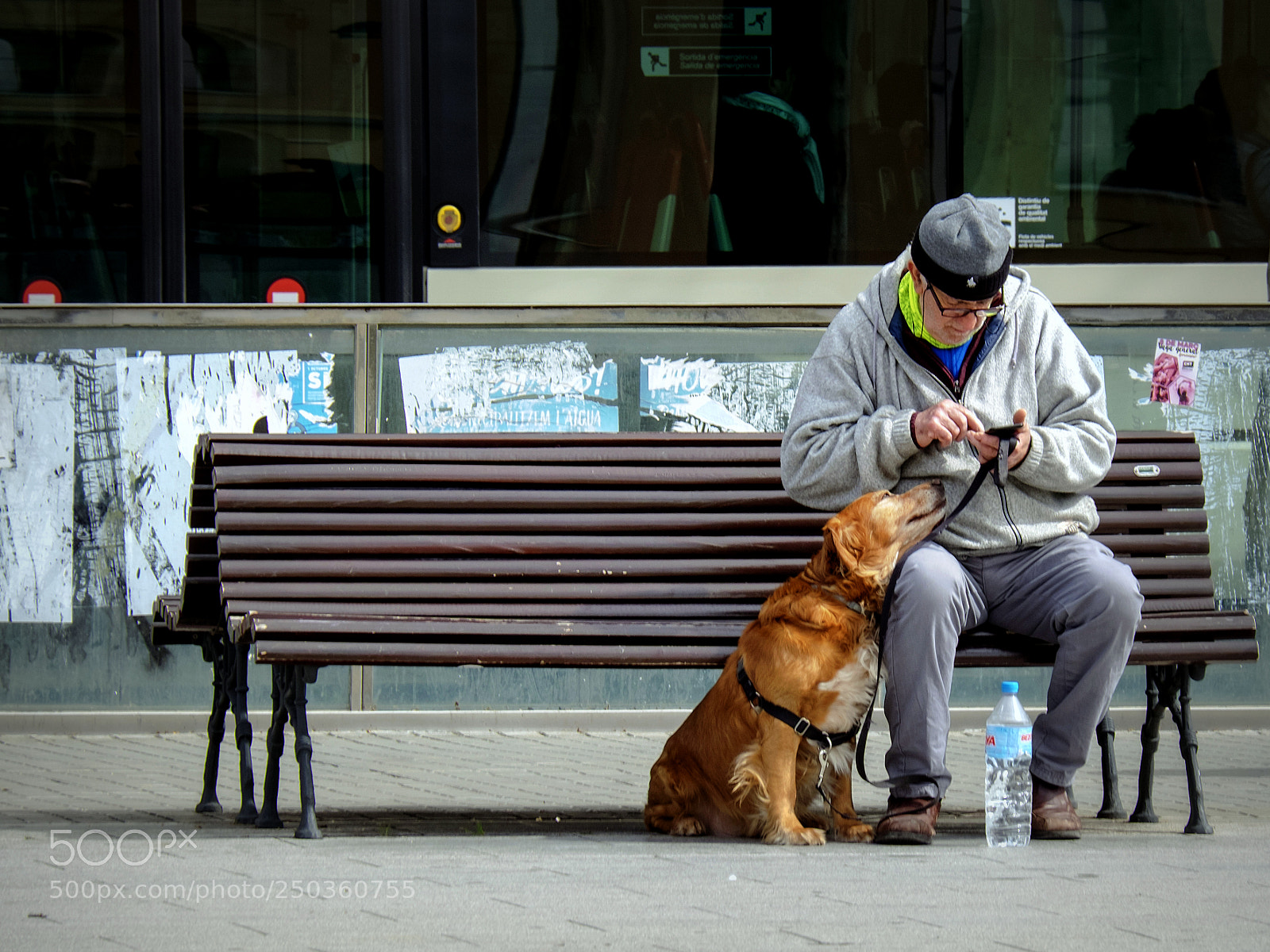 Fujifilm X-T10 sample photo. Untitled photography