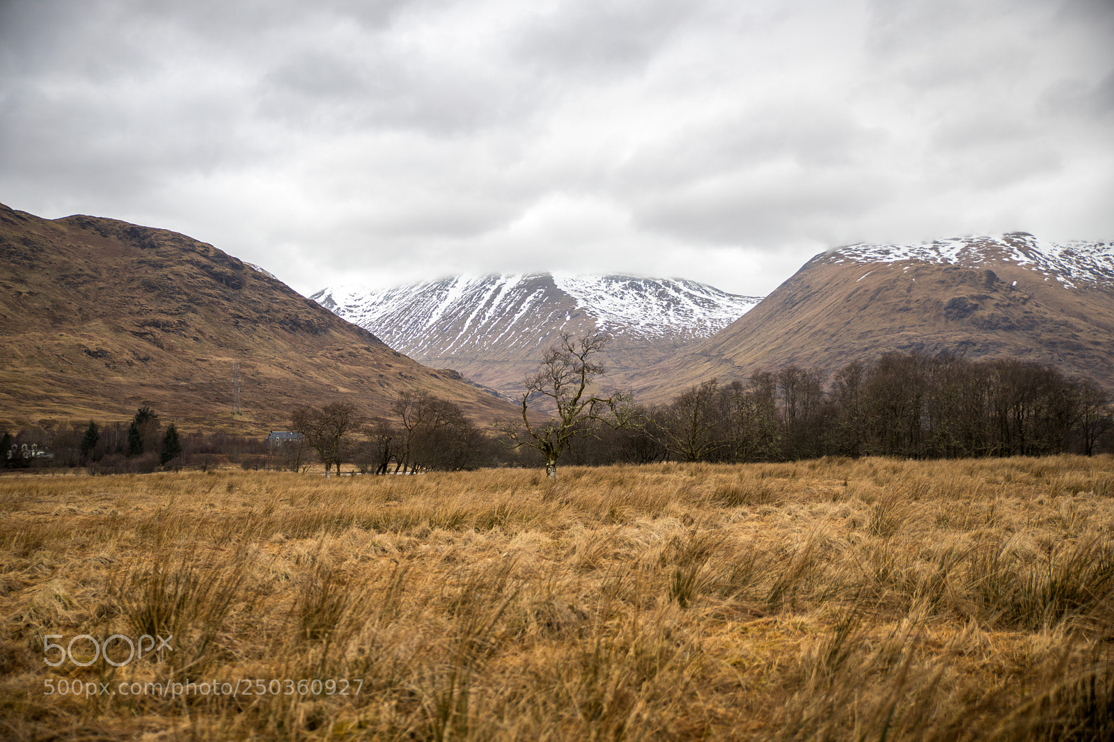 Canon EOS 5D Mark IV sample photo. Loch awe photography