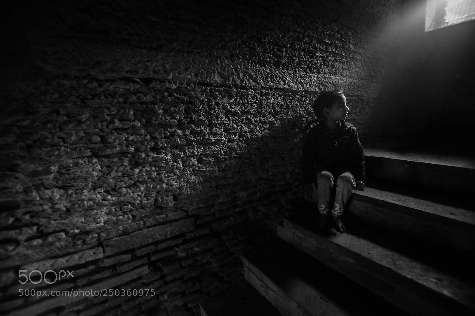 Canon EOS 5D Mark IV sample photo. Untitled photography