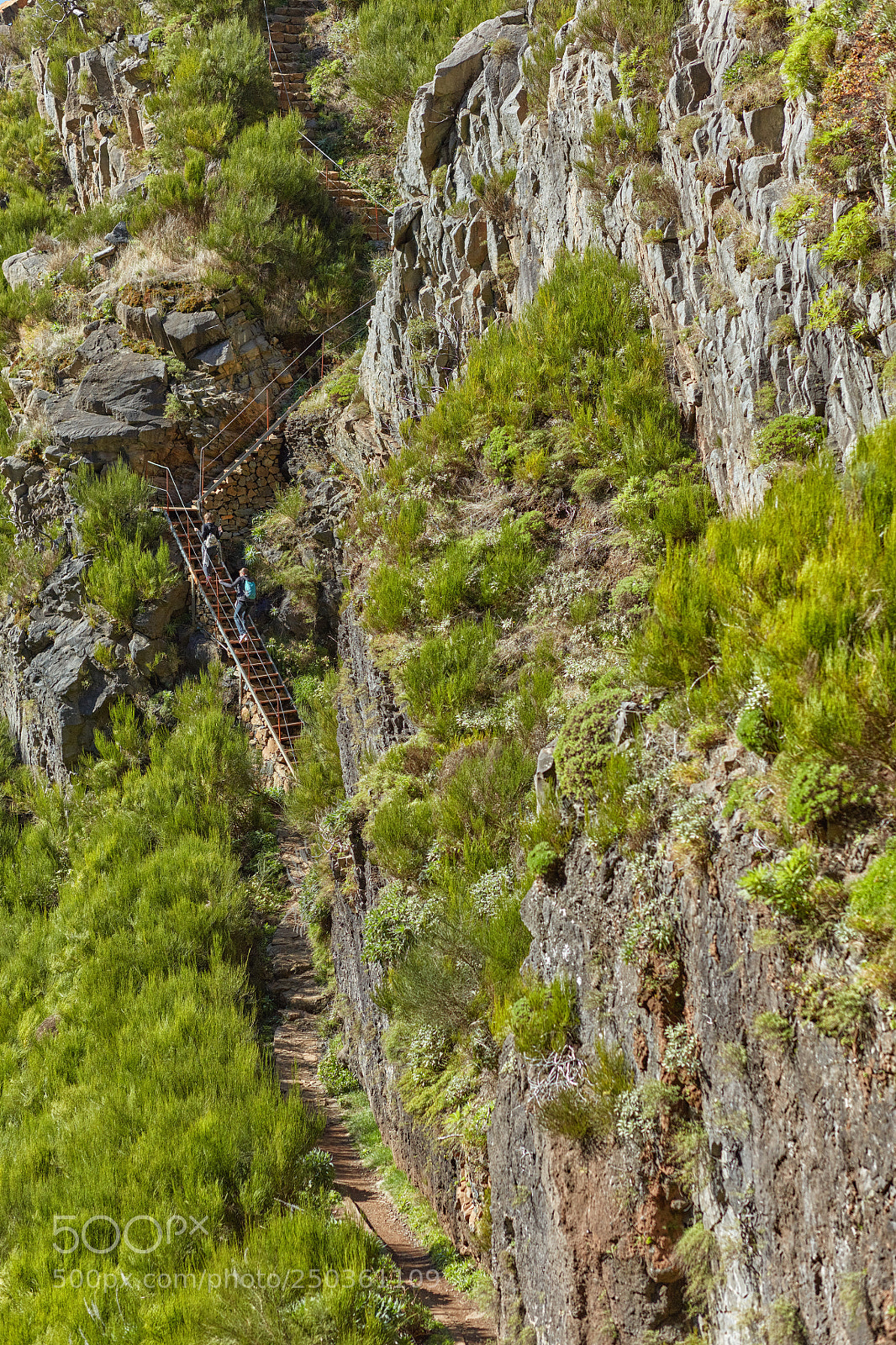 Canon EOS 5DS R sample photo. Madeira photography