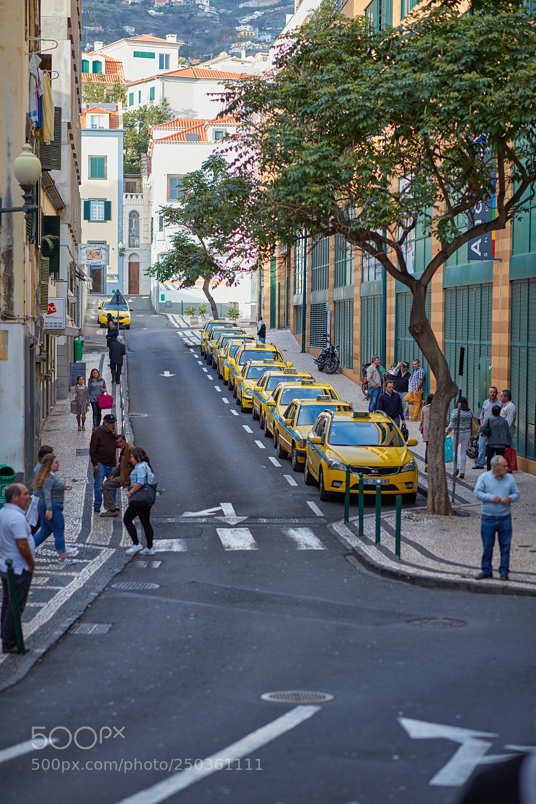 Canon EOS 5DS R sample photo. Madeira photography