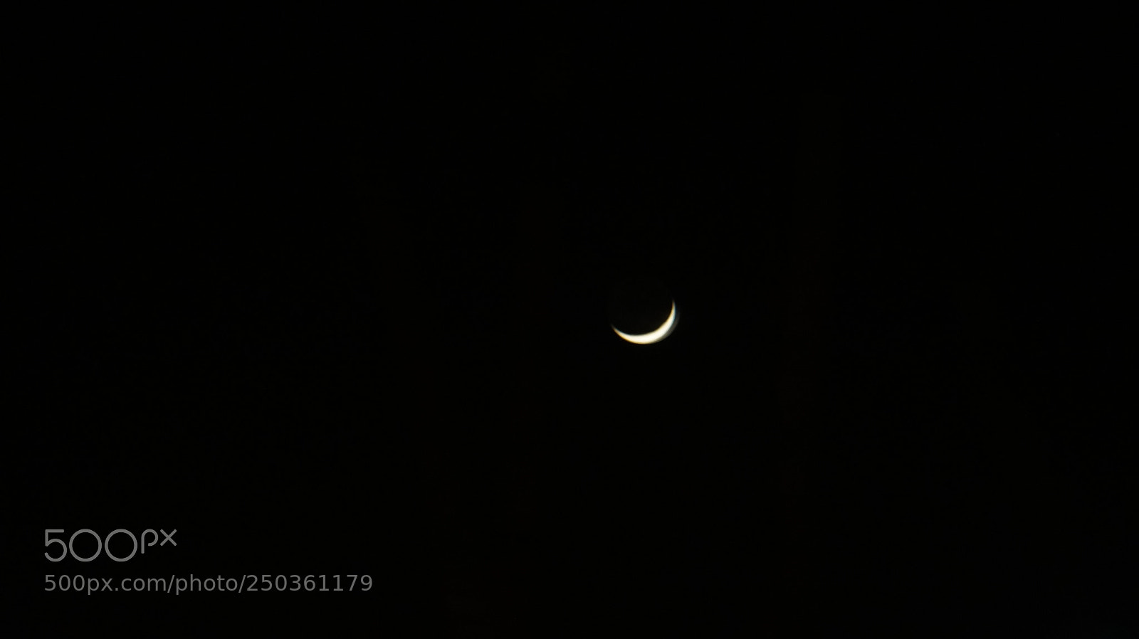 Sony Alpha a5000 (ILCE 5000) sample photo. Dsc photography