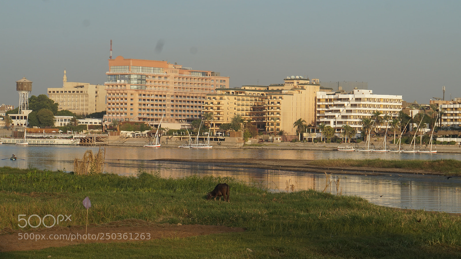 Sony Alpha a5000 (ILCE 5000) sample photo. Dsc photography