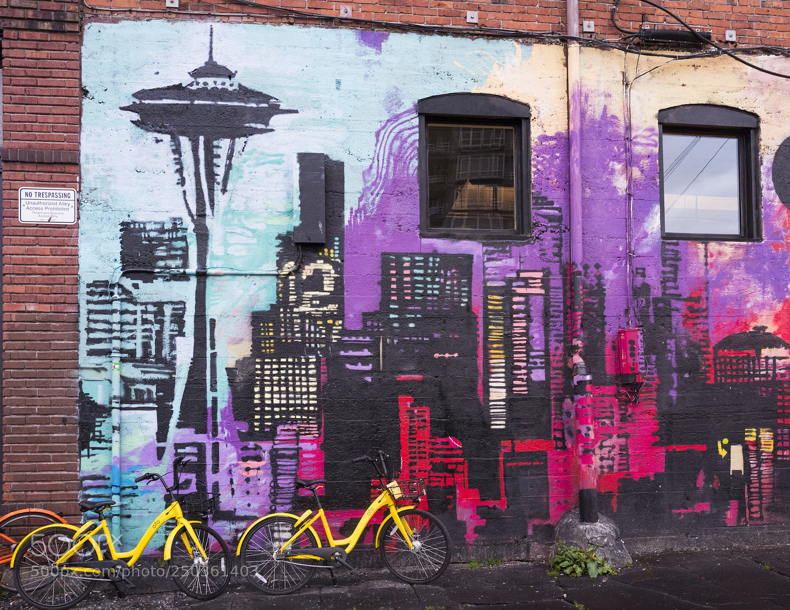Leica Q (Typ 116) sample photo. Mural in alley photography