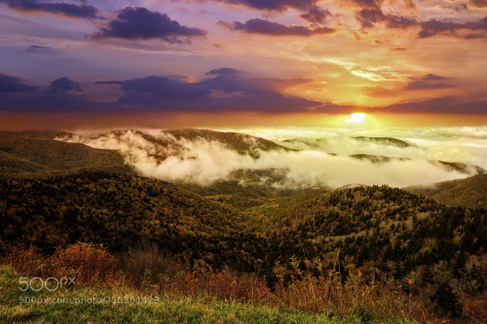 Nikon D7100 sample photo. Fog on the blue photography