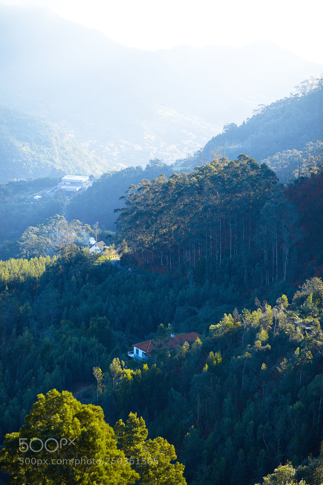Canon EOS 5DS R sample photo. Madeira photography