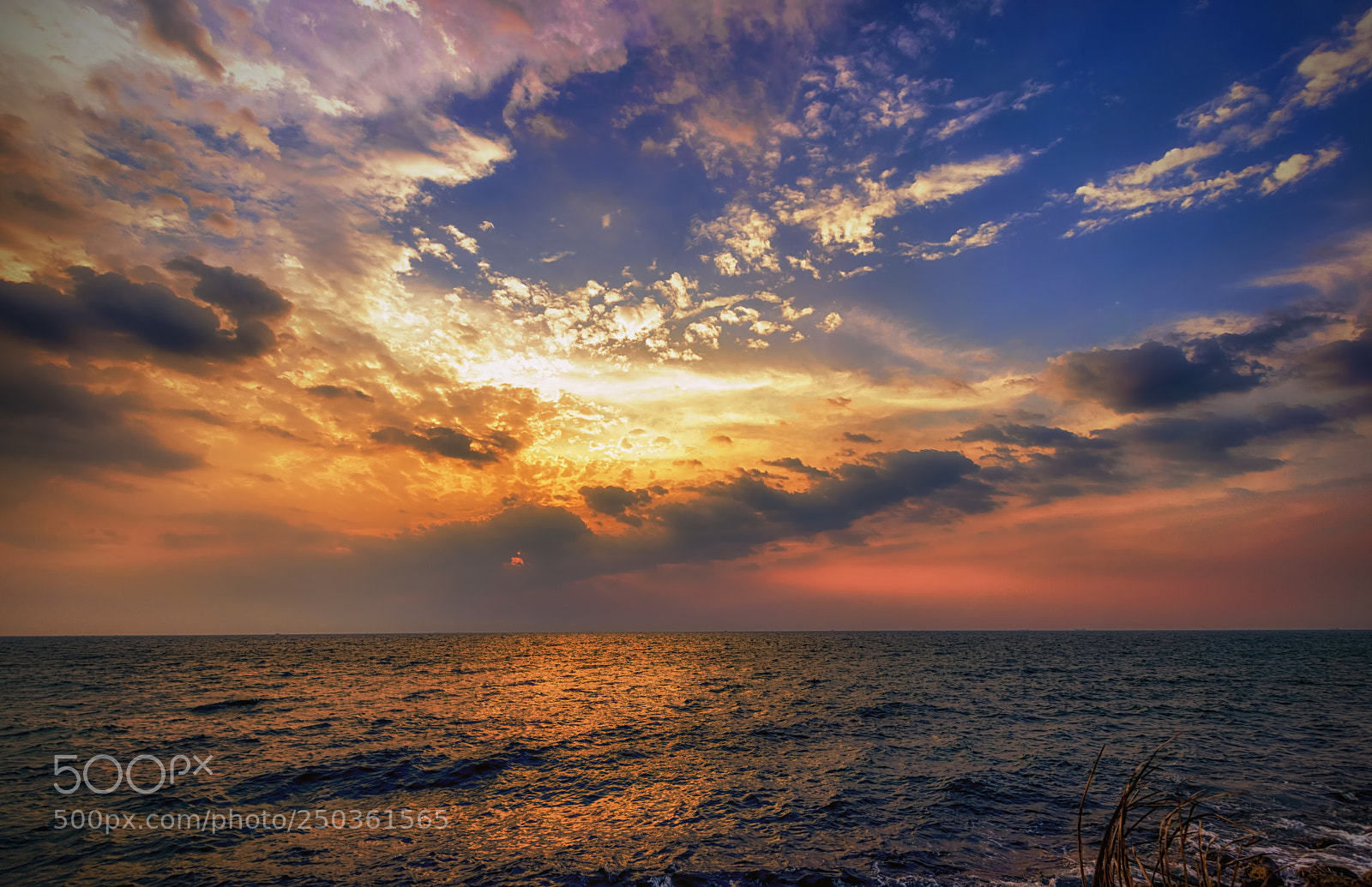 Nikon D5500 sample photo. The cochin sunset 01 photography