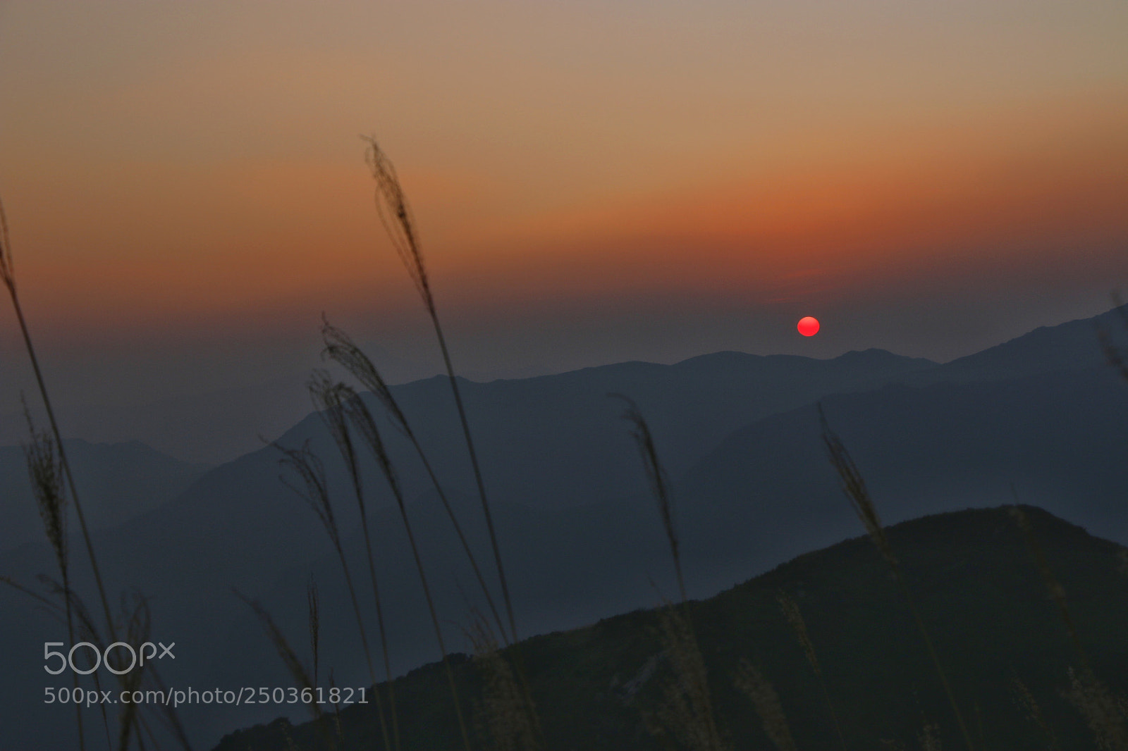 Canon EOS 70D sample photo. Untitled photography