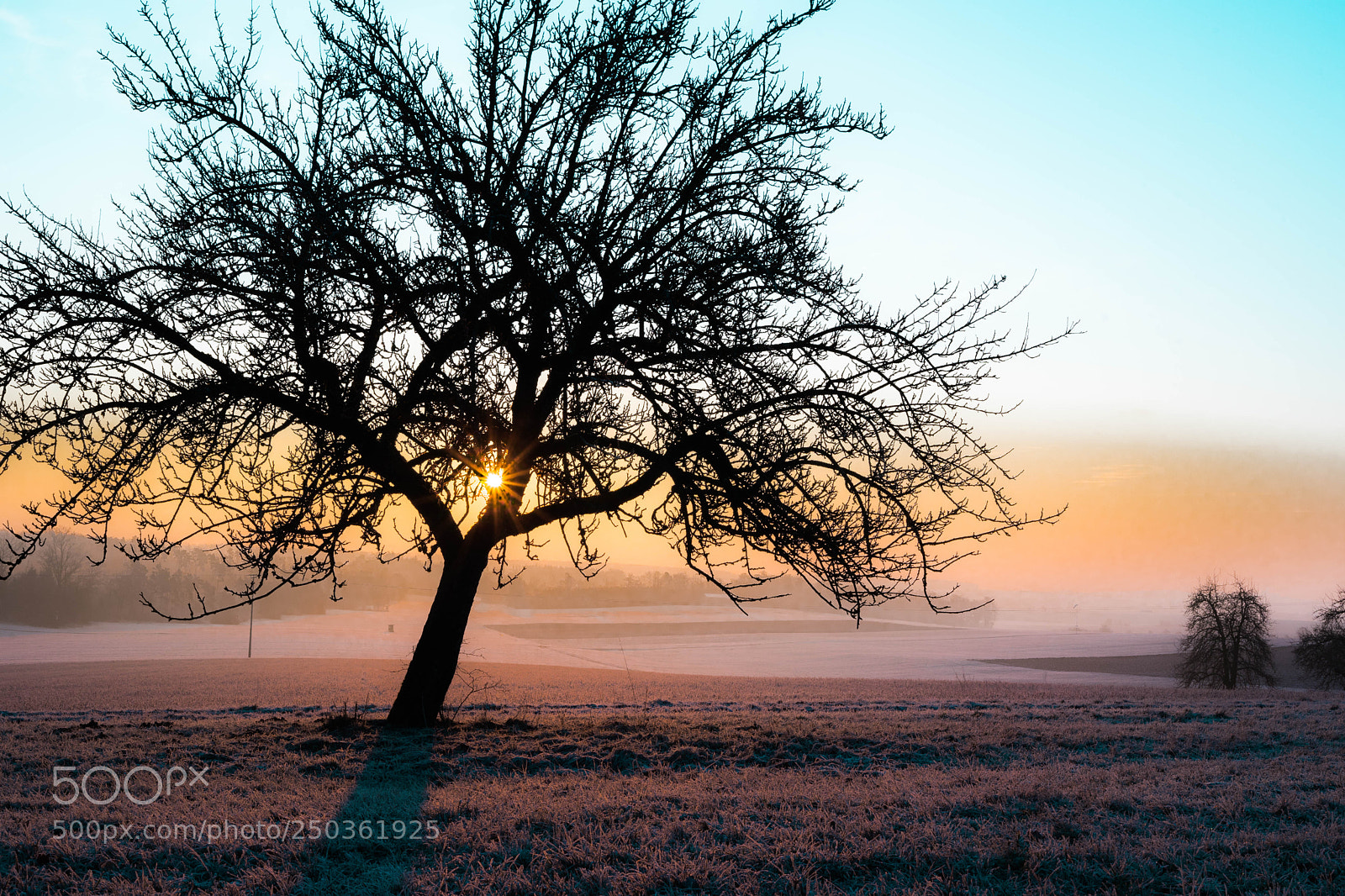 Sony a7 sample photo. Good morning photography