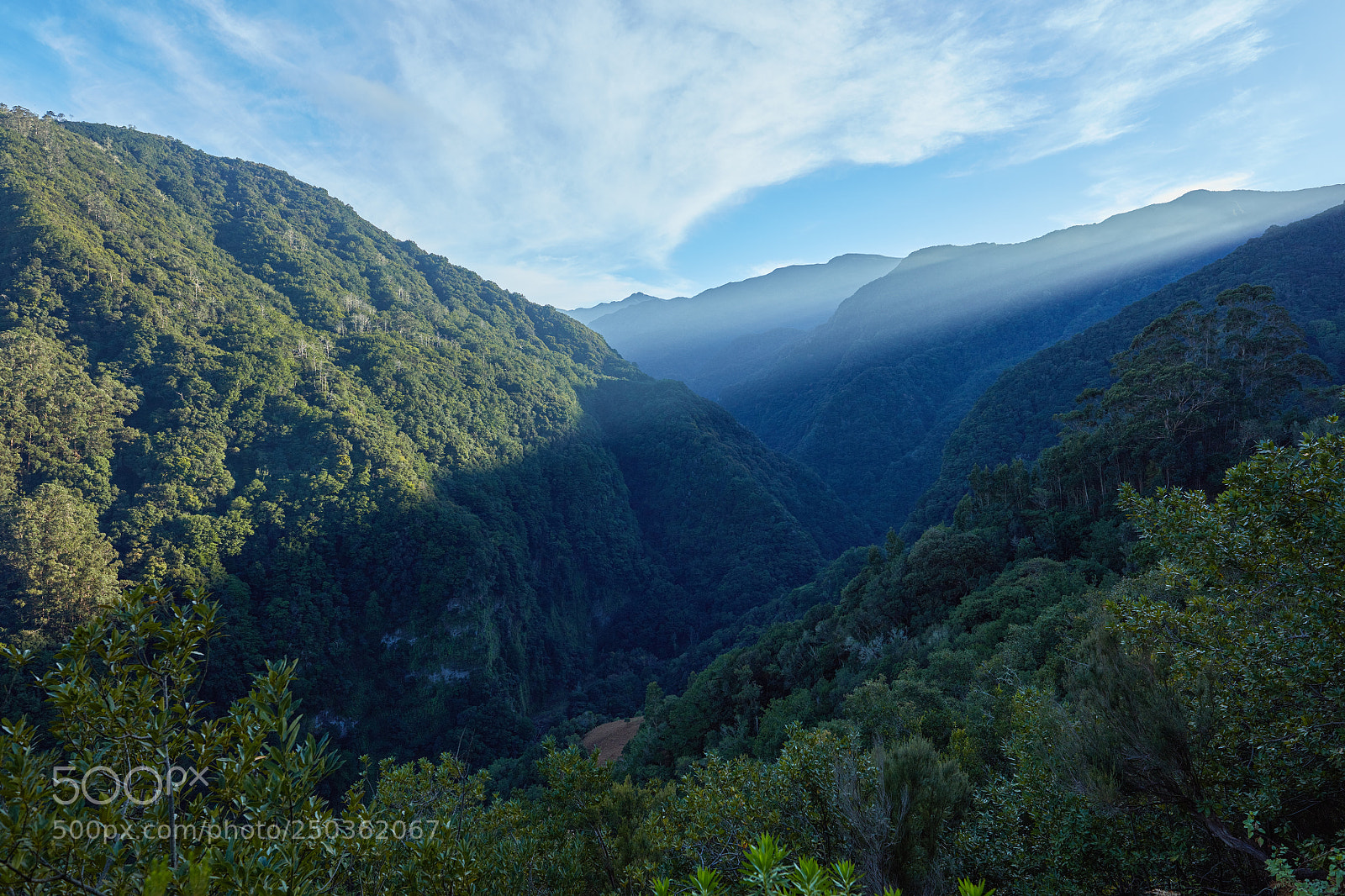 Canon EOS 5DS R sample photo. Madeira photography