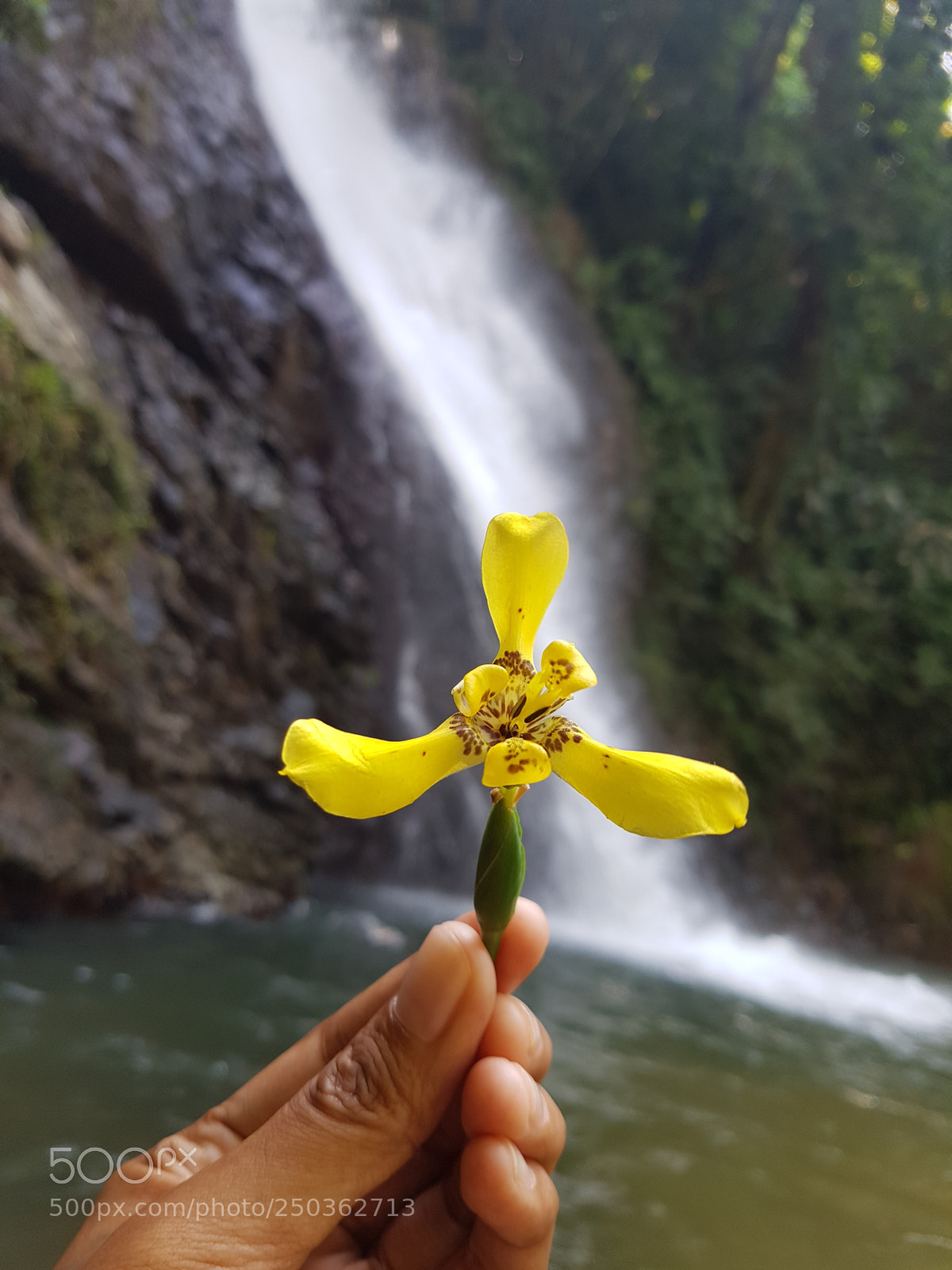 Samsung Galaxy S7 Edge sample photo. ? photography