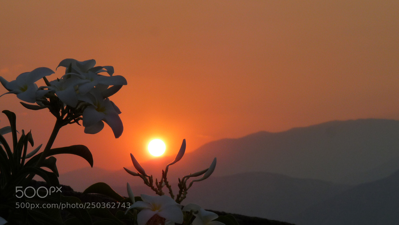 Panasonic Lumix DMC-FZ28 sample photo. Radiante atardecer photography