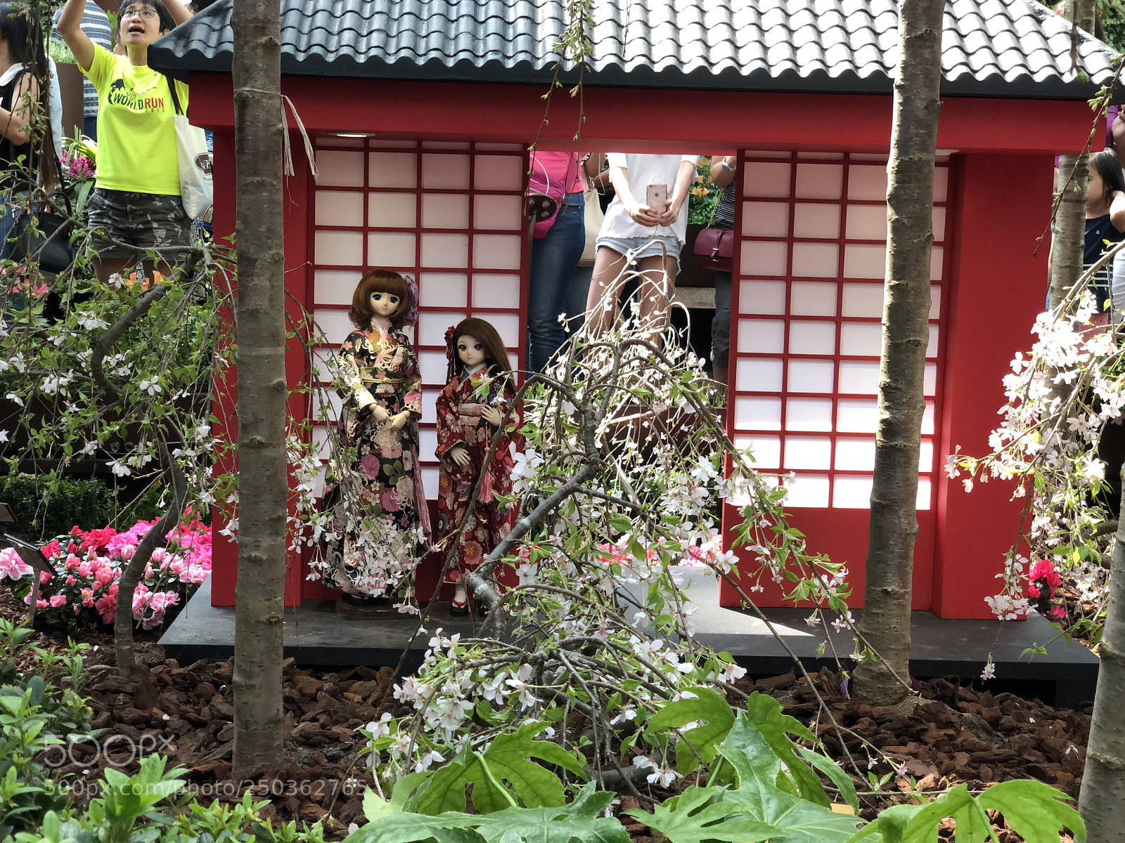 Apple iPhone X sample photo. Sakura  photography