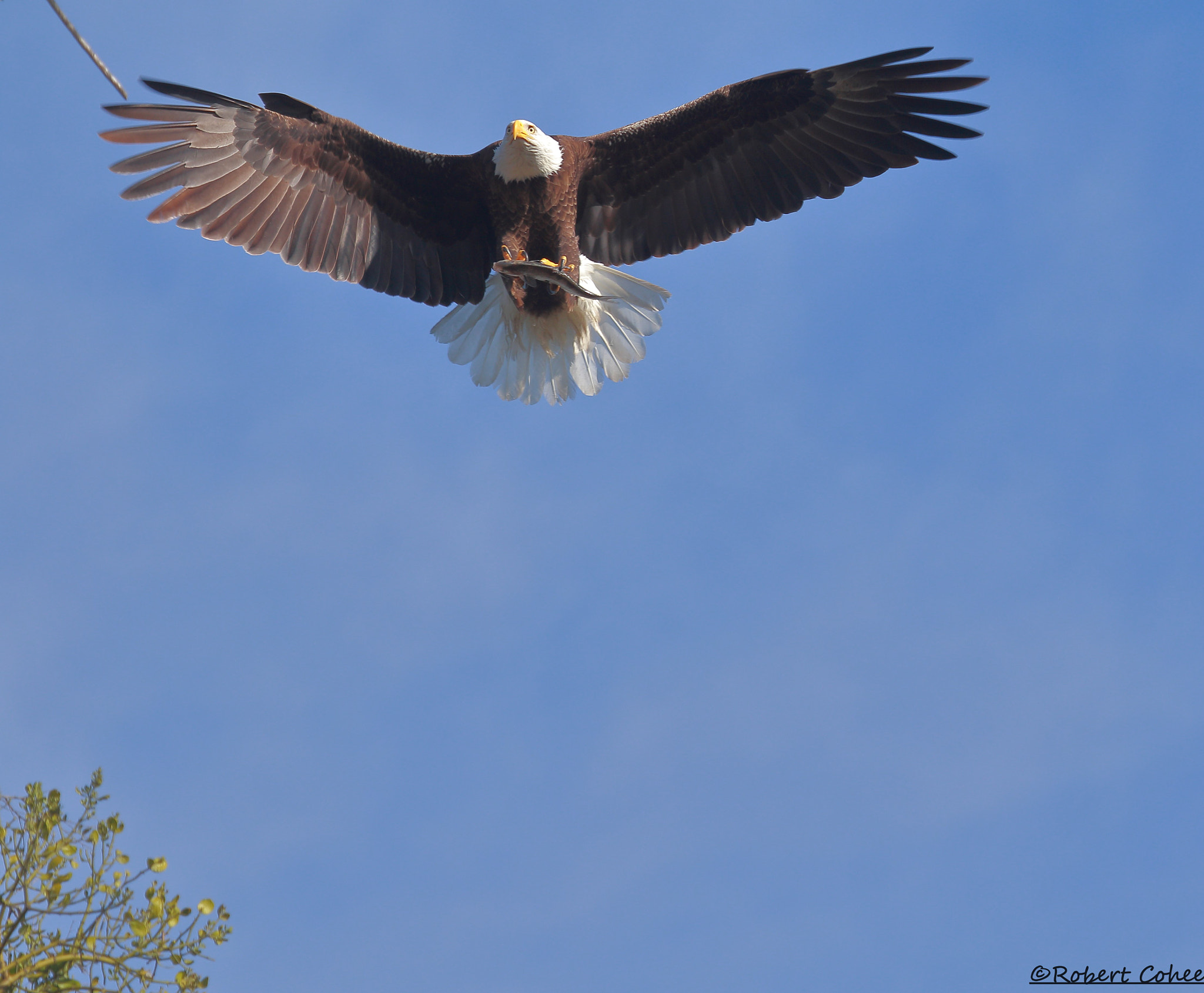 Canon EF 100-400mm F4.5-5.6L IS USM sample photo. Ita photography