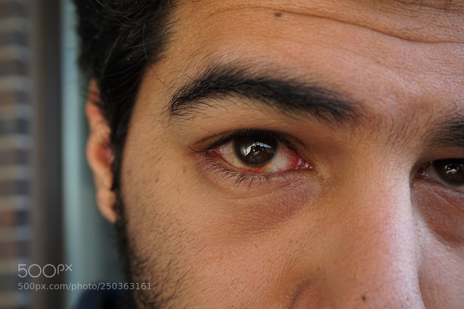 Sony Alpha a5000 (ILCE 5000) sample photo. Dsc photography