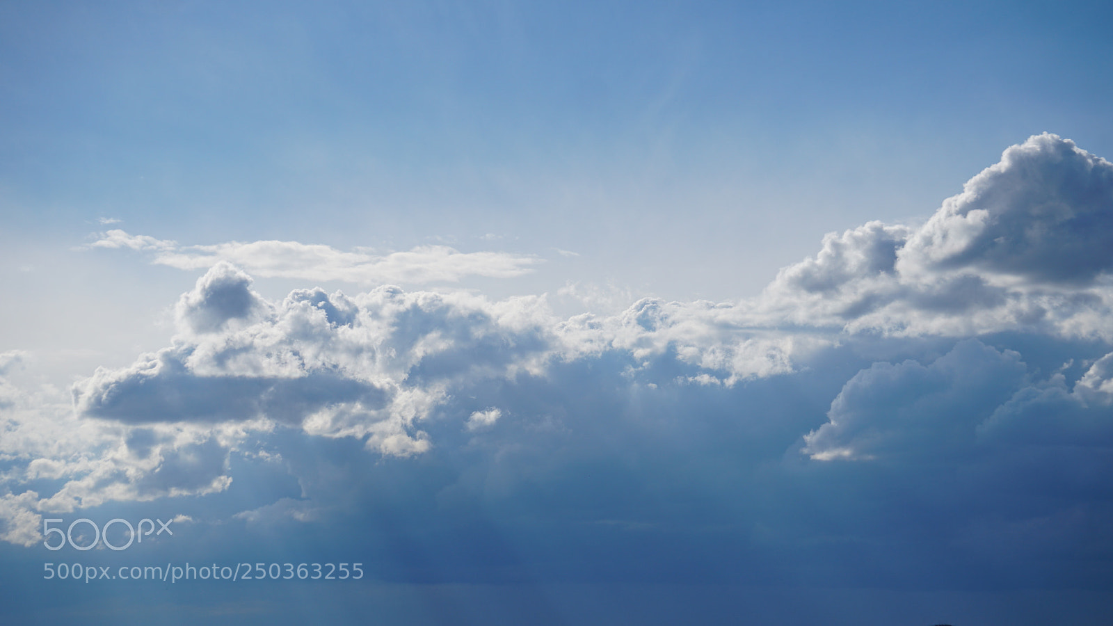 Sony a6300 sample photo. Dsc photography