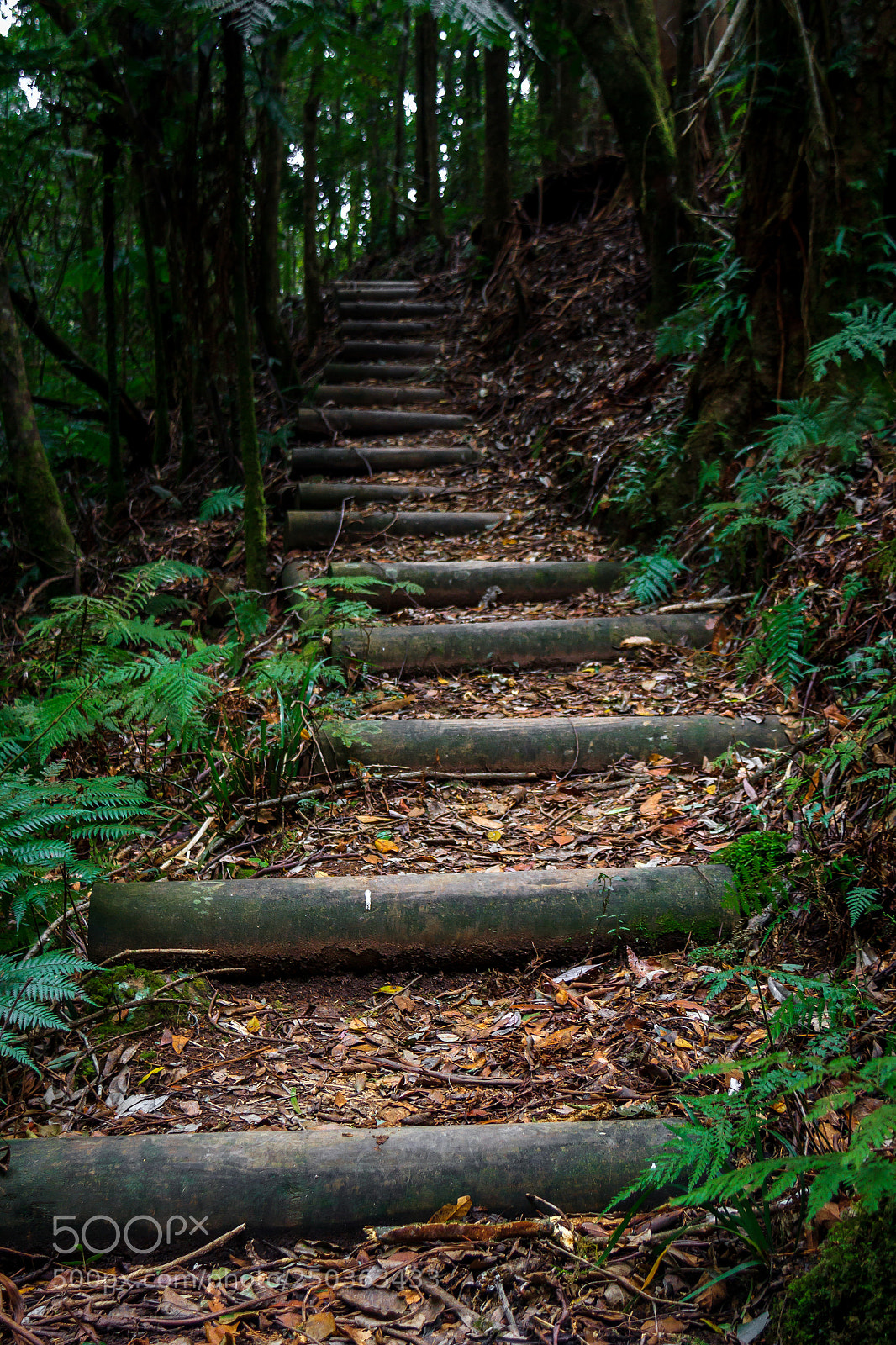 Canon EOS 60D sample photo. Stairway to home photography