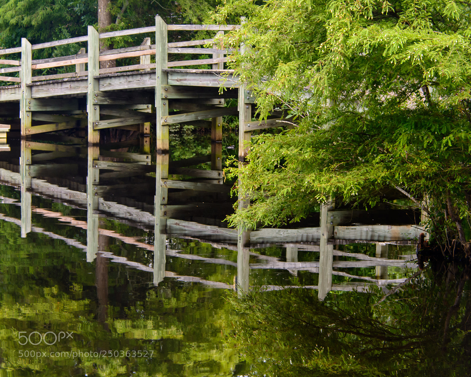 Nikon D7100 sample photo. Bridge photography