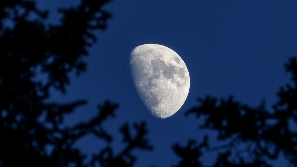Panasonic Lumix DMC-FZ60 (Lumix DMC-FZ62) sample photo. January moon photography