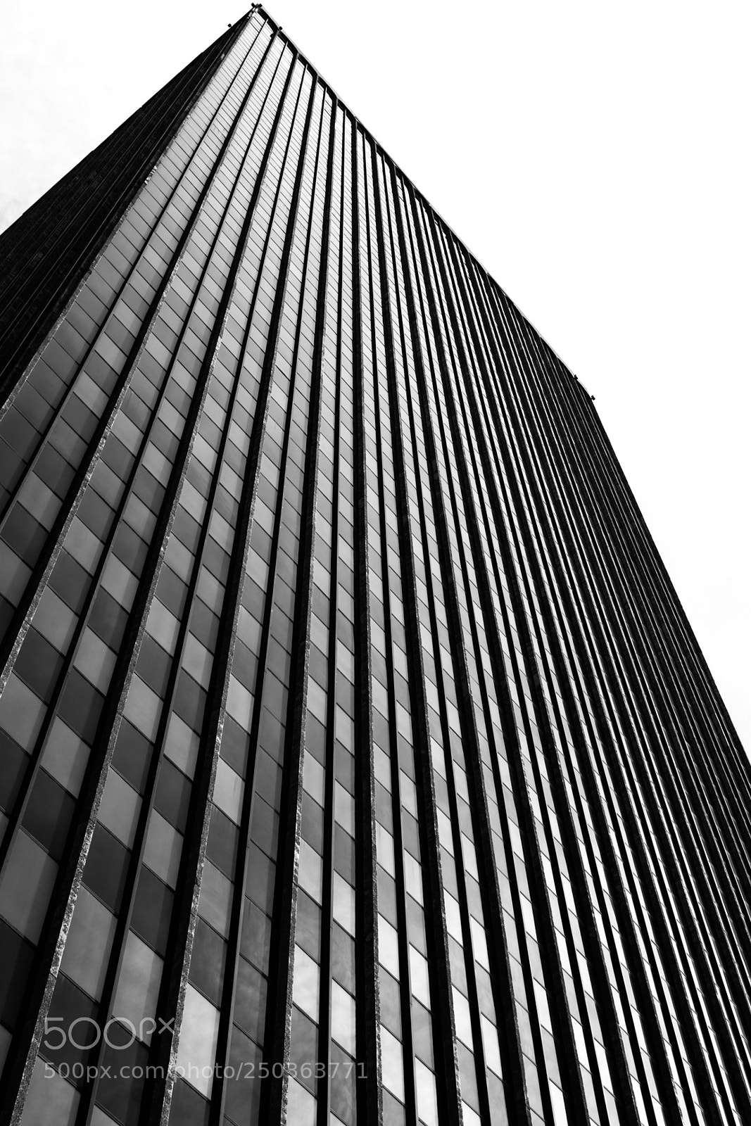 Nikon D7200 sample photo. Lines photography