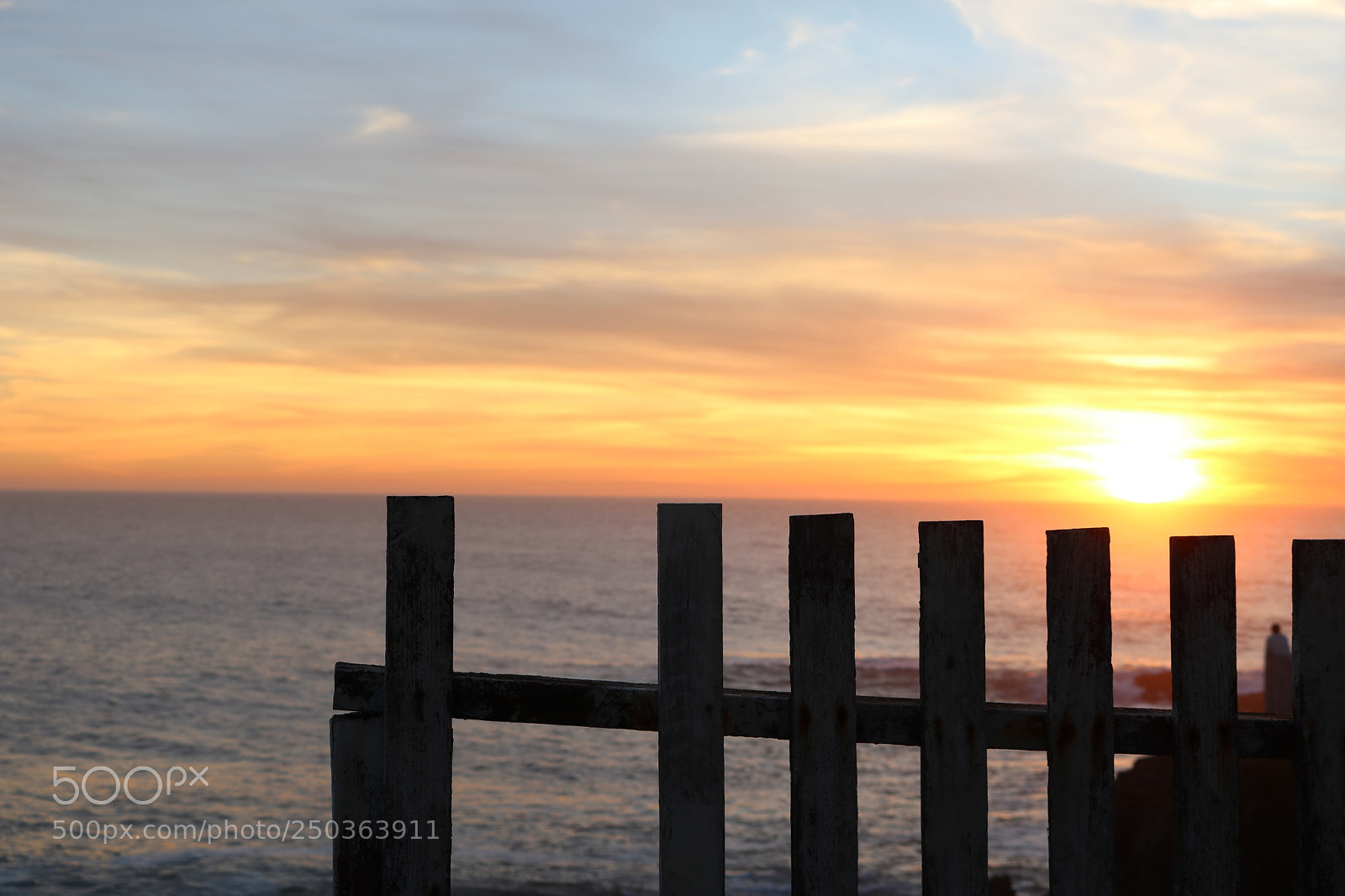 Canon EOS 750D (EOS Rebel T6i / EOS Kiss X8i) sample photo. Adcf cdfabc cabb photography