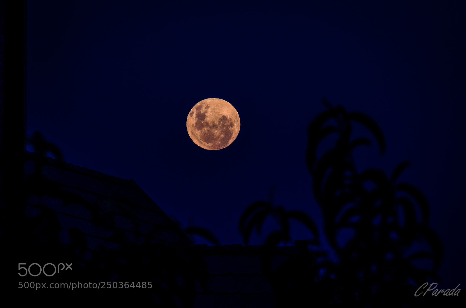 Nikon D7000 sample photo. Mi musa...la luna my photography