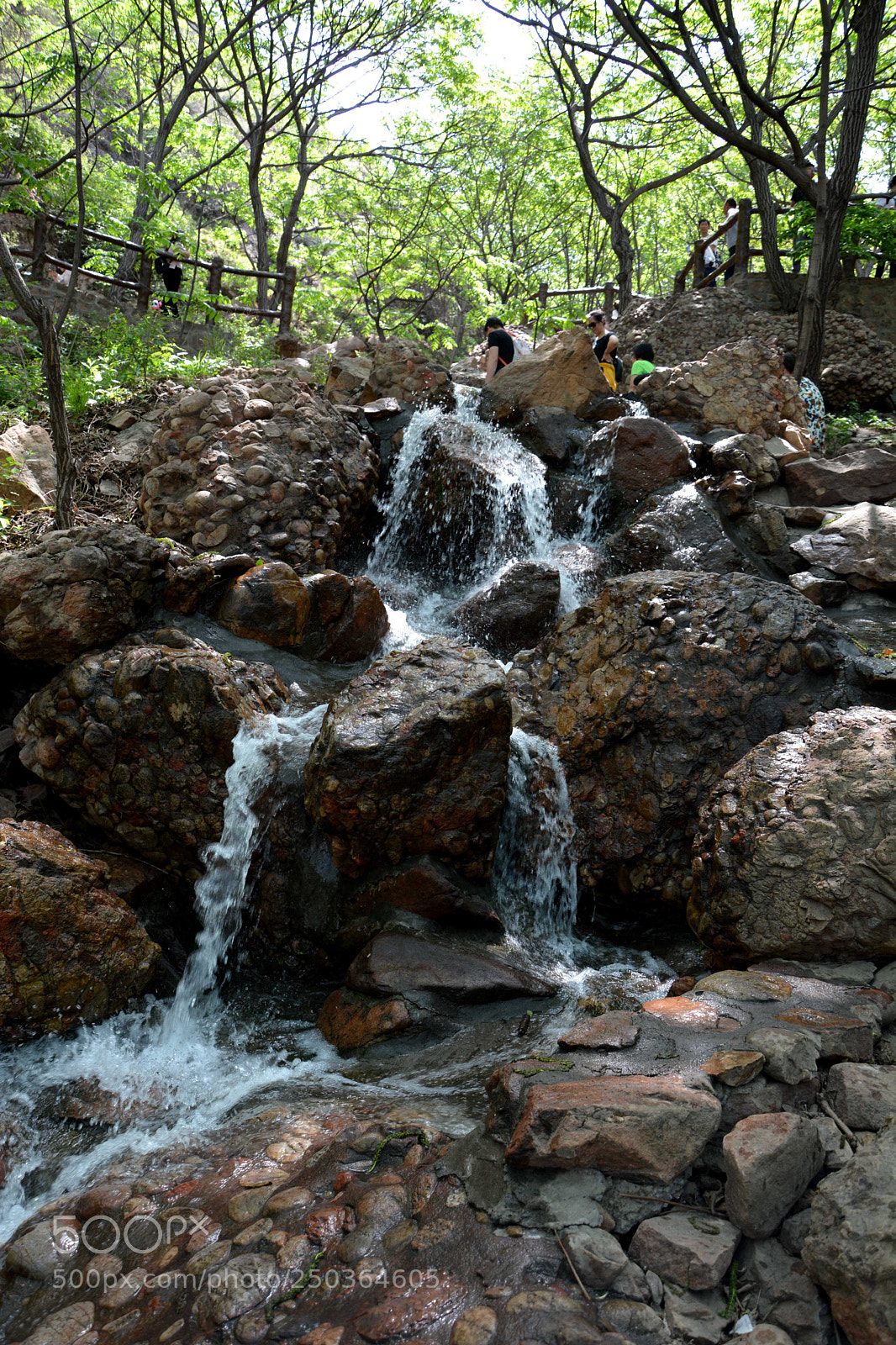 Nikon D7100 sample photo. Untitled photography