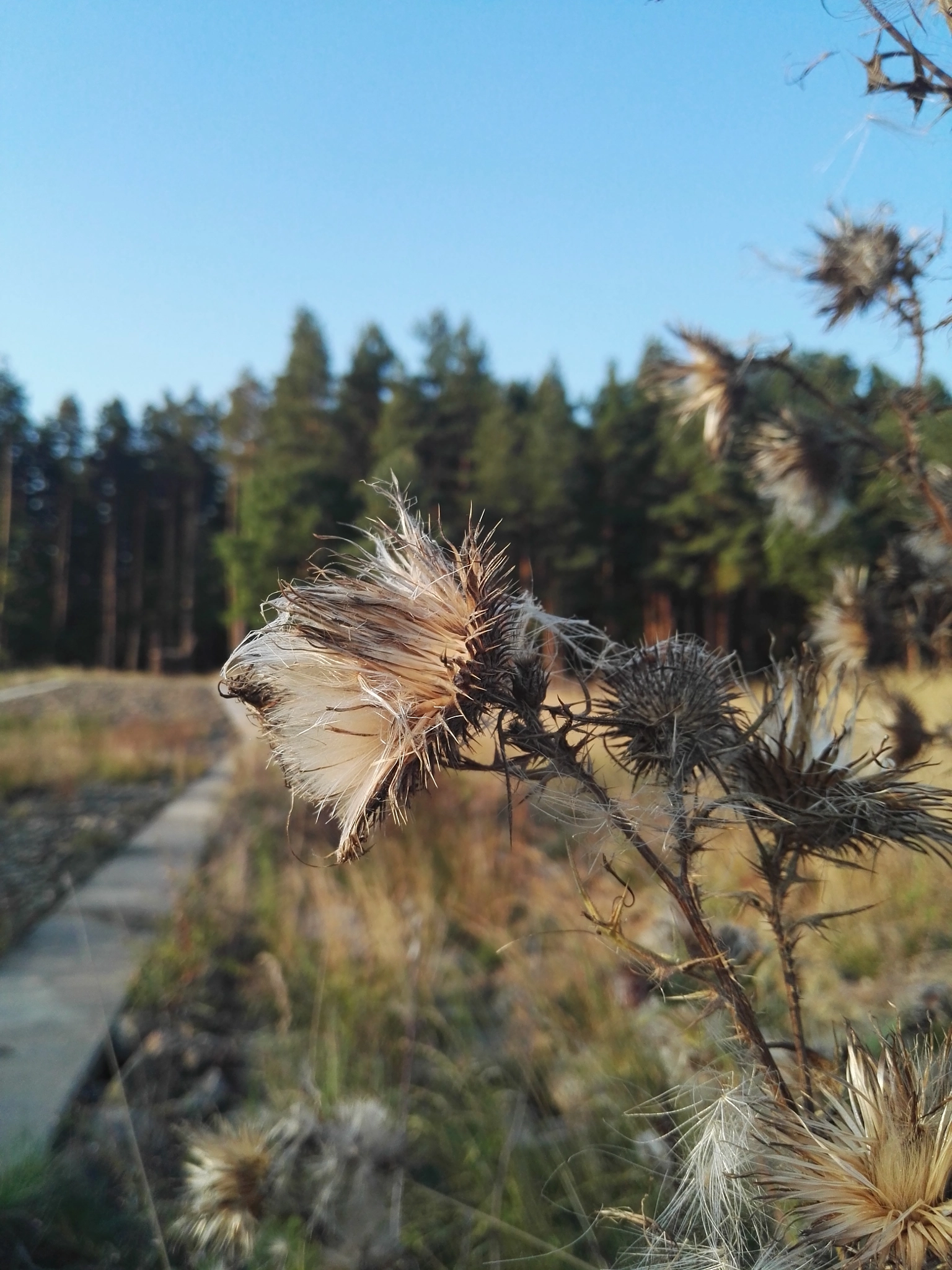 HUAWEI P8 sample photo. Untitled photography